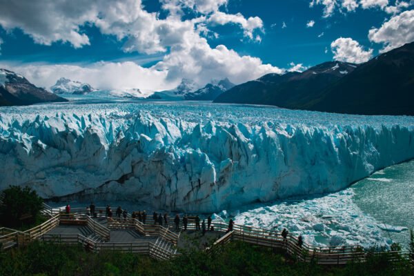 EL CALAFATE