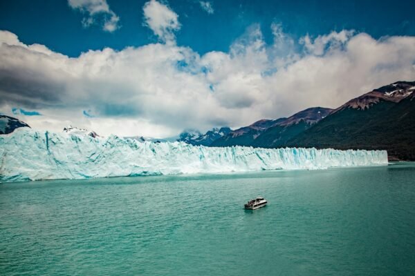 EL CALAFATE - Imagen 4