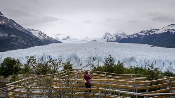 EL CALAFATE - Imagen 2